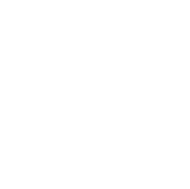 Idea Group